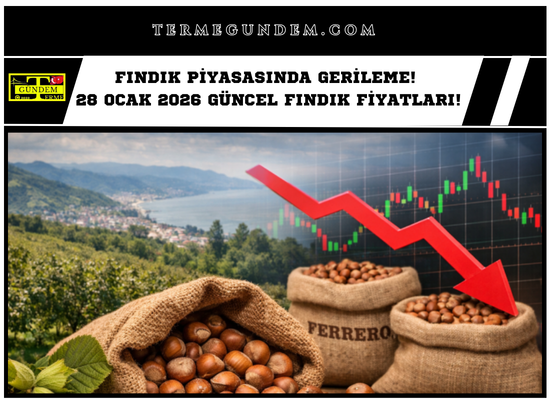 Fındık Piyasasında Gerileme! 28 Ocak 2026 Güncel Fındık Fiyatları!