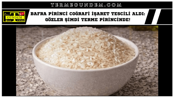 Bafra Pirinci Coğrafi İşaret Tescili Aldı: Gözler Şimdi Terme Pirincinde!
