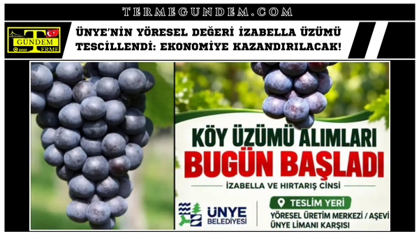 Ünye’nin Yöresel Değeri İzabella Üzümü Tescillendi: Ekonomiye Kazandırılacak!